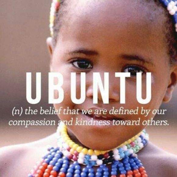 Meet your Posher, Kodi - Picture 1 of 1